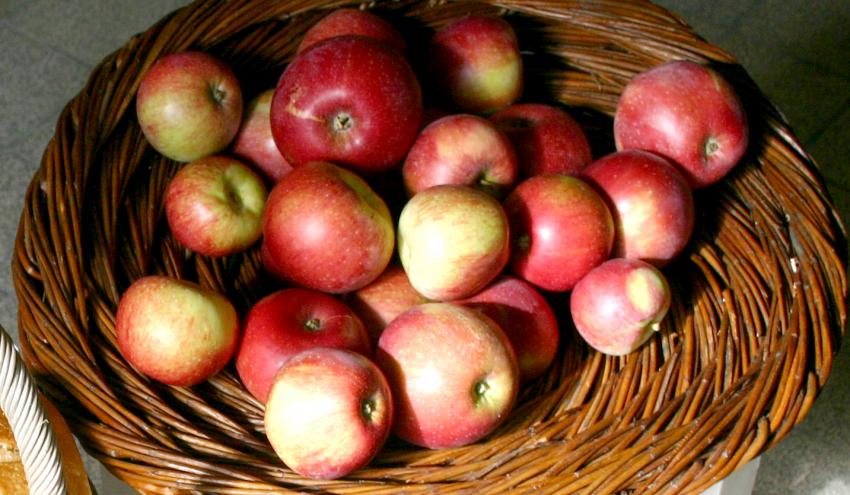 Æbler