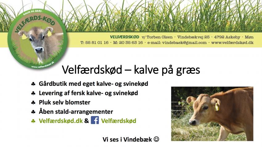 Velfærdskød - kalve på græs