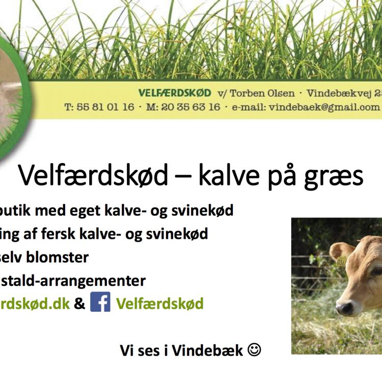 Velfærdskød - kalve på græs